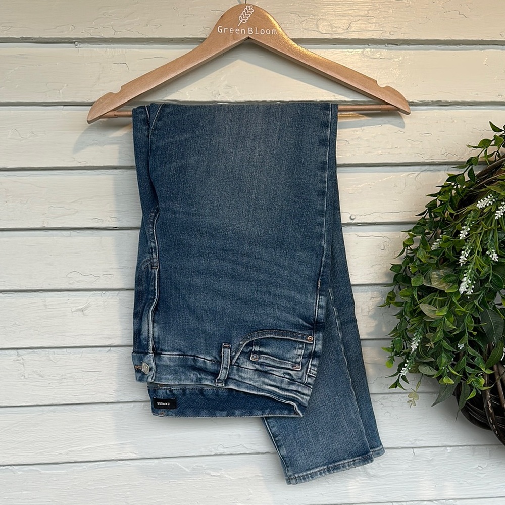 Express Blue Stretchy Skinny Leg Jeans MidRise L (12/14/16R)